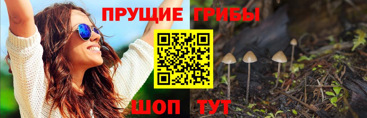 Галлюциногенные грибы ЛСД Ступино